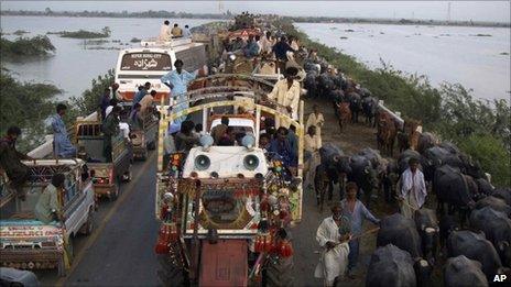 Pakistani villagers flee their homes with their livestock after flooding in Thatta near Hyderabad, Pakistan - 26 August 2010