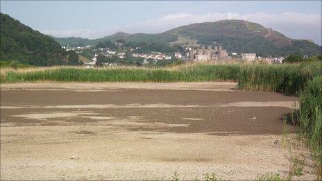 Dry lagoon at the RSPB reserve, Conwy