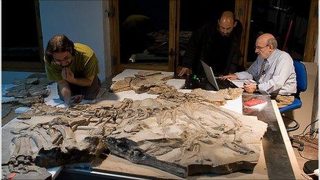 Scientists and fossil (Ortega/Sanz)