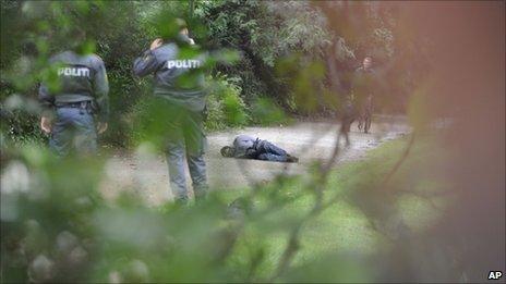 Police surround the suspect, lying handcuffed in the Copenhagen park, 10 September