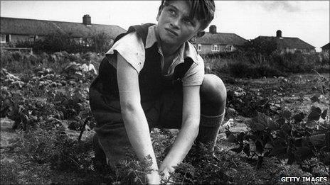 Boy on allotment