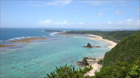 Dugong feeding grounds in Kayo and Abu bays, about 4 km from Henoko