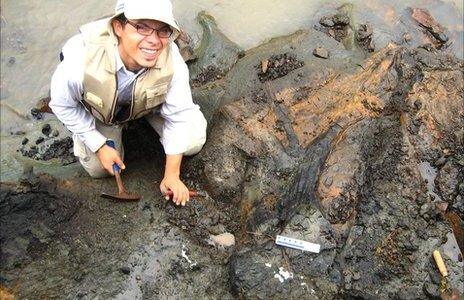 Fossil hunting in Panama (Bruce MacFadden, Florida)