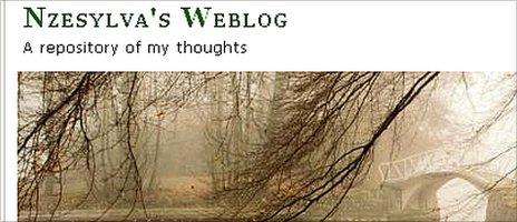 NzeSylva's Weblog banner © http://nzesylva.wordpress.com/