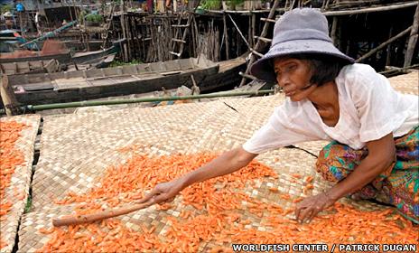 Fisheries worker