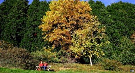 Visitors enjoying the autumn sunshine in Bedgebury National Pinetum and Forest, Kent, in October 2010.