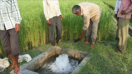 Farmers in India who use Exosect's methods checking the water supply