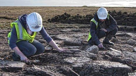 Archaeologists at cairn site. Pic: DSRL