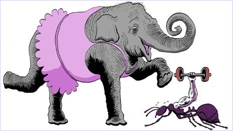 Graphic of an elephant and ant