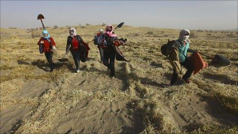 Residents plant grass in Gansu province on 9 December 2010