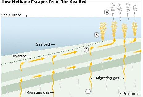 Infographic (BBC)