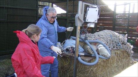 Walker being operated on