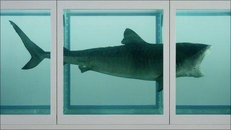 Damien Hirst's The Physical Impossibility of Death in the Mind of Someone Living