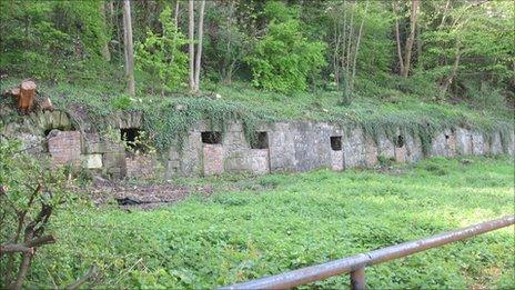 New Town area which will be turned into allotments