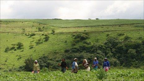 Women in the field