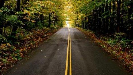 road through a wood