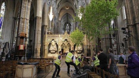 Workers carry an English field maple tree into Westminster Abbey in preparation for the royal wedding