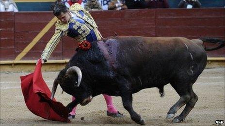 Ecuadorean matador Guillermo Alban participates in a bull-fight at the Raul Davila bullring on 23 April in Riobamba, Ecuador, on the last run of bullfighting