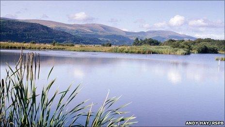 Ynys-hir nature reserve (Andy Hay RSPB images)