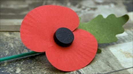 Remembrance Day poppy