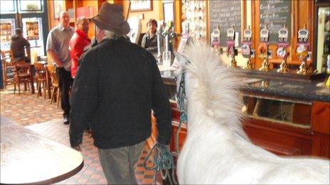 Pony in pub