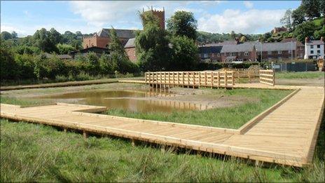 The wetland area in Llanfyllin