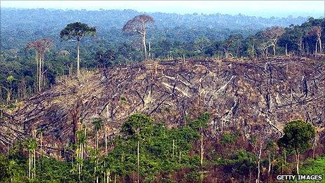 Deforested sector of the Amazon rainforest