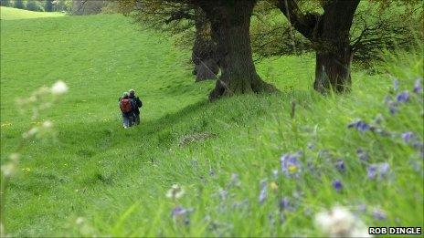 Walkers on the Offa's Dyke trail Photo: Rob Dingle