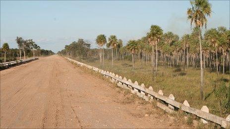 Road running through Paraguay's Chaco region