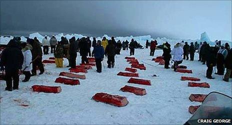 Chunks of whalemeat laid out on the ice