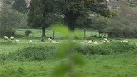 Bathampton Meadows