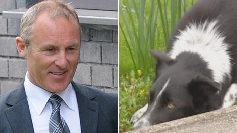 Philip Pook arriving in court and his collie dog outside an earlier hearing