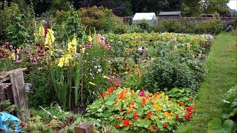 Allotment