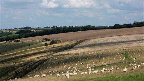 Oxfordshire countryside