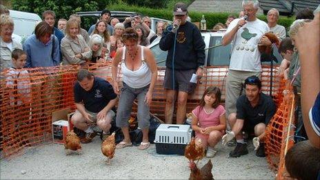 Hen racing in Bonsall in Derbyshire