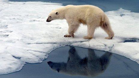 A British man has been killed by a polar bear in Norway.