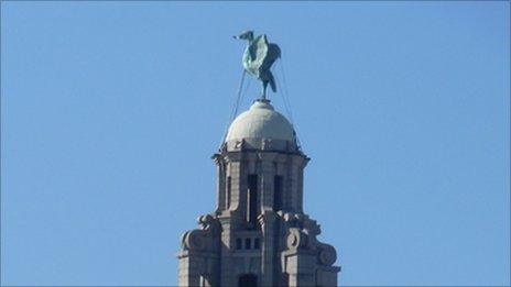 Liver Building