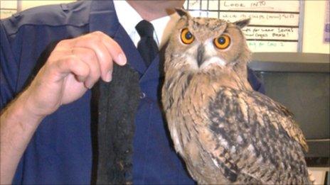 Vet Neil Forbes and Lydon the Owl