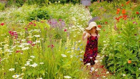 Girl walking in a meadow