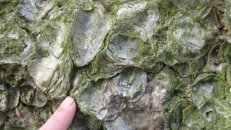 Close-up of boulder at Oxburgh Hall