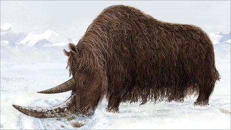 Woolly rhino impression (Julie Naylor)