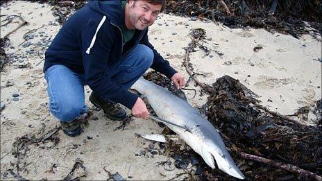 Martin Scott and shark. Pic: Mike Merritt