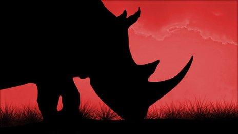 Rhino (Thinkstock)