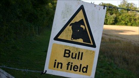 beware of bull sign