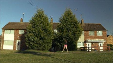 House in Ashford Kent with leylandii