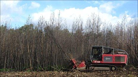 Mulching machine