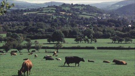 The Welsh countryside (generic)