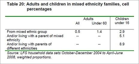 Table showing adults and children in mixed ethnicity families