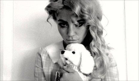 Electra Heart - puppy