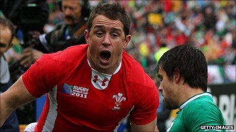 Shane Williams celebrates his try